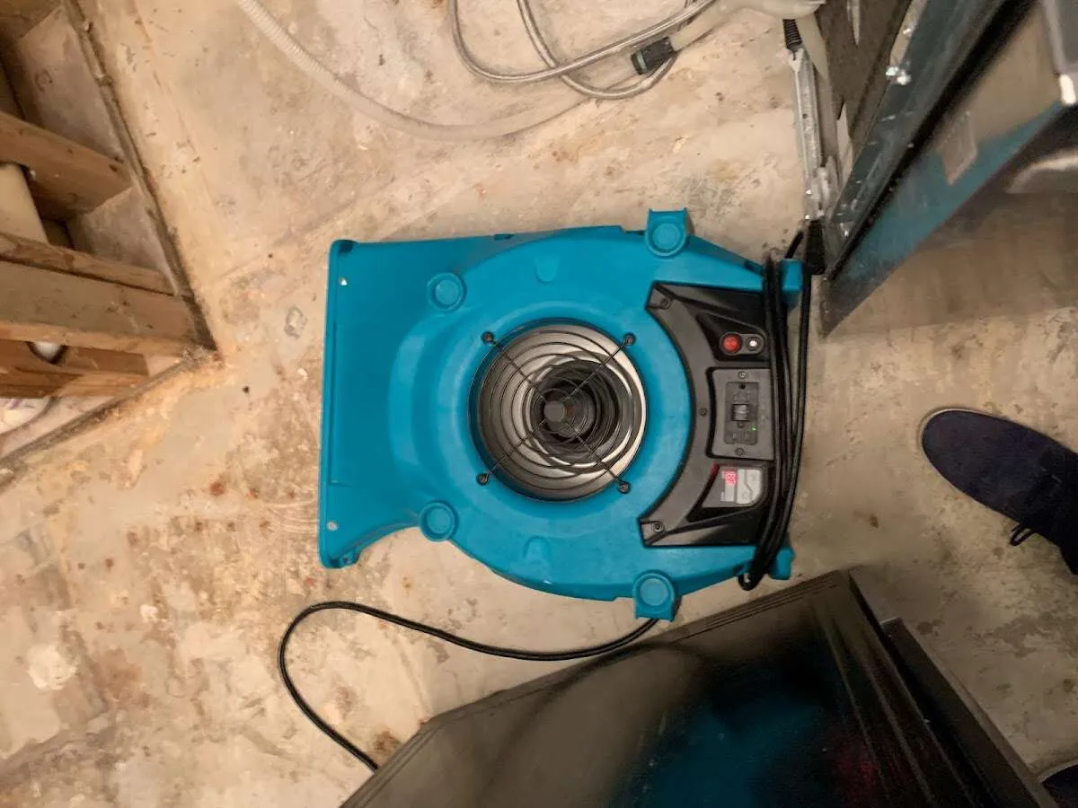 Air mover drying equipment for Mold Remediation & Removal in Sunland Park